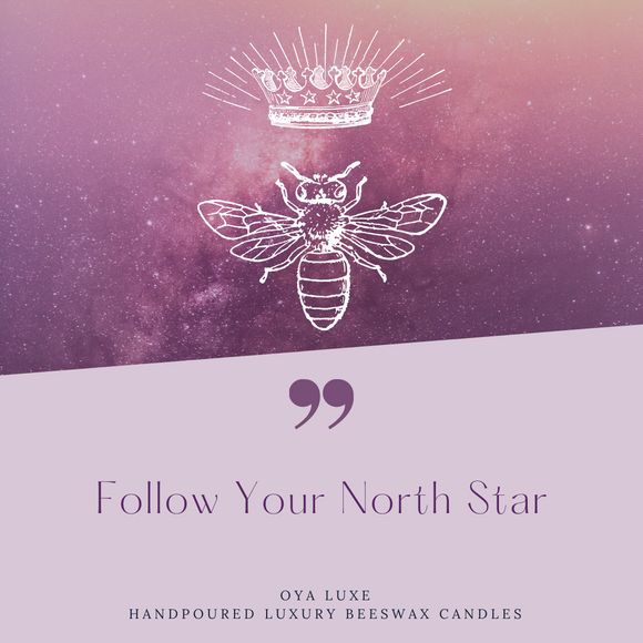 Follow Your North Star