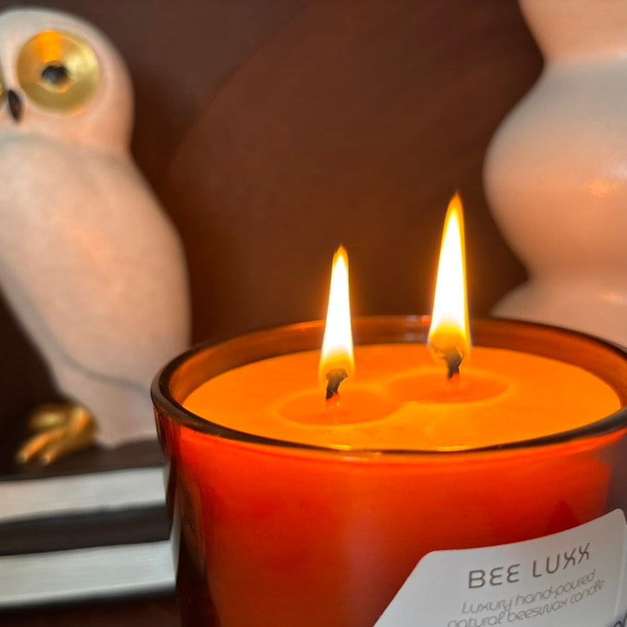 Two wick beeswax candle in amber glass jar with a decorative owl figurine and books in the background.